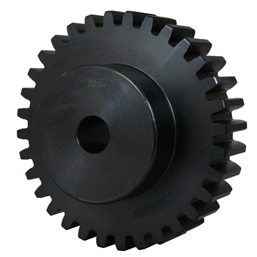 Steel Spur Gear